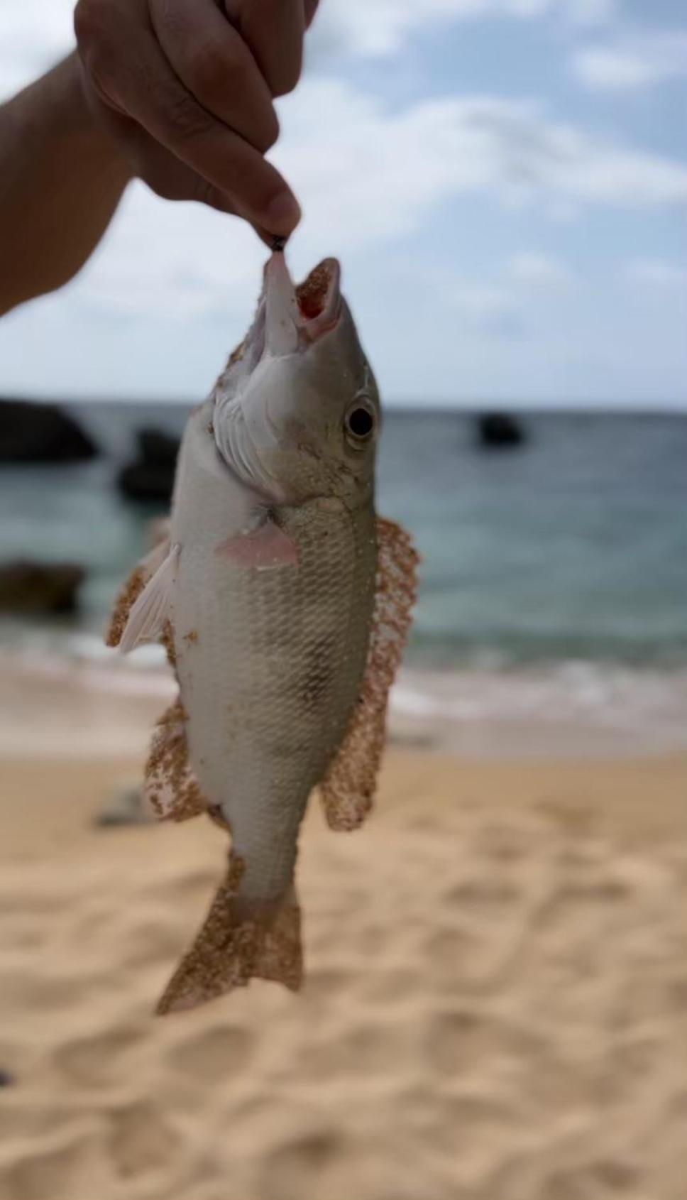 Miyakojima The Panali别墅 外观 照片